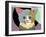 Spectrum Cat-Lanre Adefioye-Framed Giclee Print