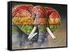 Spectrum Charge-Graeme Stevenson-Framed Stretched Canvas