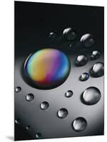 Spectrum I-Andreas Stridsberg-Mounted Giclee Print