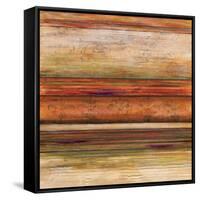 Spectrum II-Michael Brey-Framed Stretched Canvas