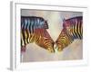 Spectrum Zebras-Graeme Stevenson-Framed Giclee Print