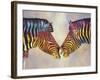 Spectrum Zebras-Graeme Stevenson-Framed Giclee Print