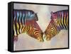 Spectrum Zebras-Graeme Stevenson-Framed Stretched Canvas
