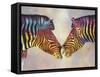 Spectrum Zebras-Graeme Stevenson-Framed Stretched Canvas