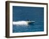 Speed Boat, Assos, Kefalonia (Cephalonia), Ionian Islands, Greece-R H Productions-Framed Photographic Print