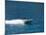 Speed Boat, Assos, Kefalonia (Cephalonia), Ionian Islands, Greece-R H Productions-Mounted Photographic Print