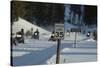Speed Limit Sign and Snowmobiles-W. Perry Conway-Stretched Canvas