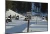Speed Limit Sign and Snowmobiles-W. Perry Conway-Mounted Photographic Print