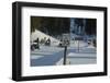 Speed Limit Sign and Snowmobiles-W. Perry Conway-Framed Photographic Print