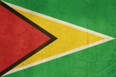 Grunge Sovereign State Flag Of Country Of Guyana In Official Colors-Speedfighter-Art Print