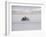 Speeding Motorcycle During Bonneville Hot Rod Meet at the Bonneville Salt Flats in Utah-J^ R^ Eyerman-Framed Photographic Print