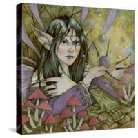 Spell Casting Fae-Linda Ravenscroft-Stretched Canvas