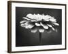 Spellbinding-Carolyn Cochrane-Framed Photographic Print