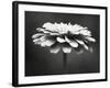 Spellbinding-Carolyn Cochrane-Framed Photographic Print