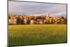 Spello at Sunset, Perugia District, Umbria, Italy-ClickAlps-Mounted Photographic Print