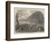 Spelthorne Club Coursing Meeting, Hampton Court Park-Harrison William Weir-Framed Giclee Print