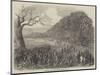 Spelthorne Club Coursing Meeting, Hampton Court Park-Harrison William Weir-Mounted Giclee Print