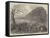 Spelthorne Club Coursing Meeting, Hampton Court Park-Harrison William Weir-Framed Stretched Canvas