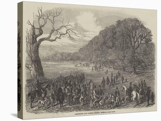 Spelthorne Club Coursing Meeting, Hampton Court Park-Harrison William Weir-Stretched Canvas