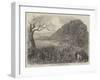 Spelthorne Club Coursing Meeting, Hampton Court Park-Harrison William Weir-Framed Giclee Print