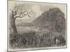 Spelthorne Club Coursing Meeting, Hampton Court Park-Harrison William Weir-Mounted Giclee Print