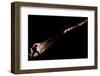 Spelunkers Exploring an Underground Cave River-salajean-Framed Photographic Print