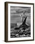 Spencer Tracy in "Old Man and the Sea"-Ralph Crane-Framed Premium Photographic Print