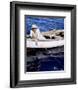 Spencer Tracy, The Old Man and the Sea (1958)-null-Framed Photo