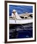 Spencer Tracy, The Old Man and the Sea (1958)-null-Framed Photo