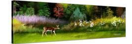 Stretched Canvas