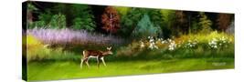 Stretched Canvas