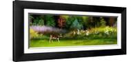 Brown Frame
