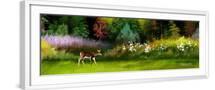 White Frame
