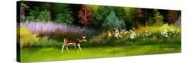 Stretched Canvas