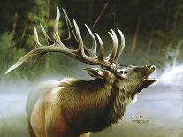 Elk in Mist-Spencer Williams-Giclee Print