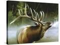 Stretched Canvas