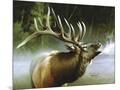 Wood Mount