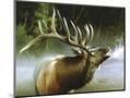 Wood Mount