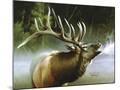 Wood Mount