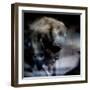 Spent-Gideon Ansell-Framed Photographic Print