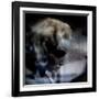 Spent-Gideon Ansell-Framed Photographic Print