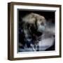 Spent-Gideon Ansell-Framed Premium Photographic Print