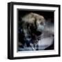 Spent-Gideon Ansell-Framed Premium Photographic Print