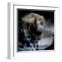 Spent-Gideon Ansell-Framed Premium Photographic Print