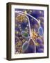 Sperm In Uterus-P. Motta-Framed Photographic Print