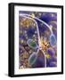 Sperm In Uterus-P. Motta-Framed Photographic Print