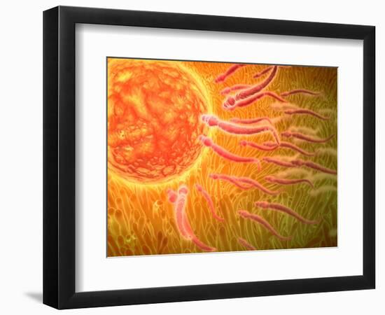 Sperm Traveling Towards Egg with Cellia-null-Framed Art Print