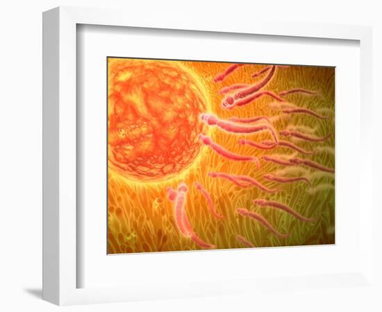 Sperm Traveling Towards Egg with Cellia-null-Framed Art Print