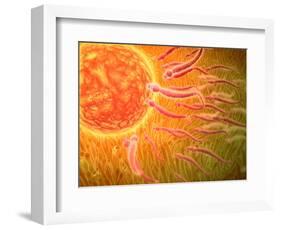 Sperm Traveling Towards Egg with Cellia-null-Framed Art Print