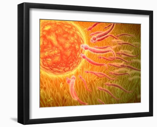 Sperm Traveling Towards Egg with Cellia-null-Framed Art Print